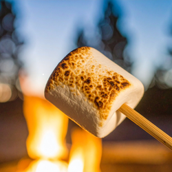 MARSHMALLOW FIRESIDE