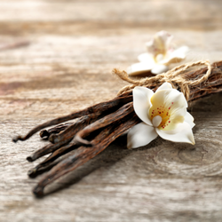 VANILLA BEAN